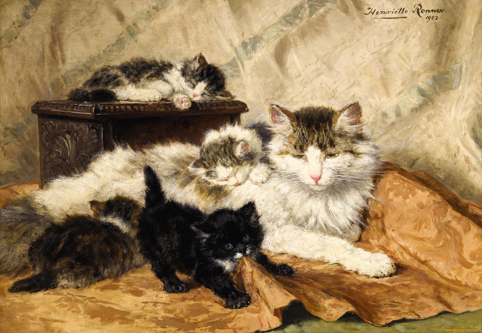 , henriette ronner-knip, , , , 